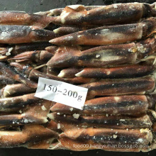 BQF Seafrozen Squid Calamari Illex Argentina squid